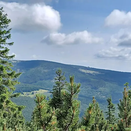 Semesterbostad Hill 46 By Interhome Cista (Hradec Kralove)